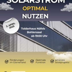 Solarstrom optimal nutzen